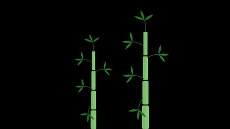Grünes-Bambusbaum-Symbol,-Schleifenanimationsvideo,-Transparenter-Hintergrund-Mit-Alphakanal